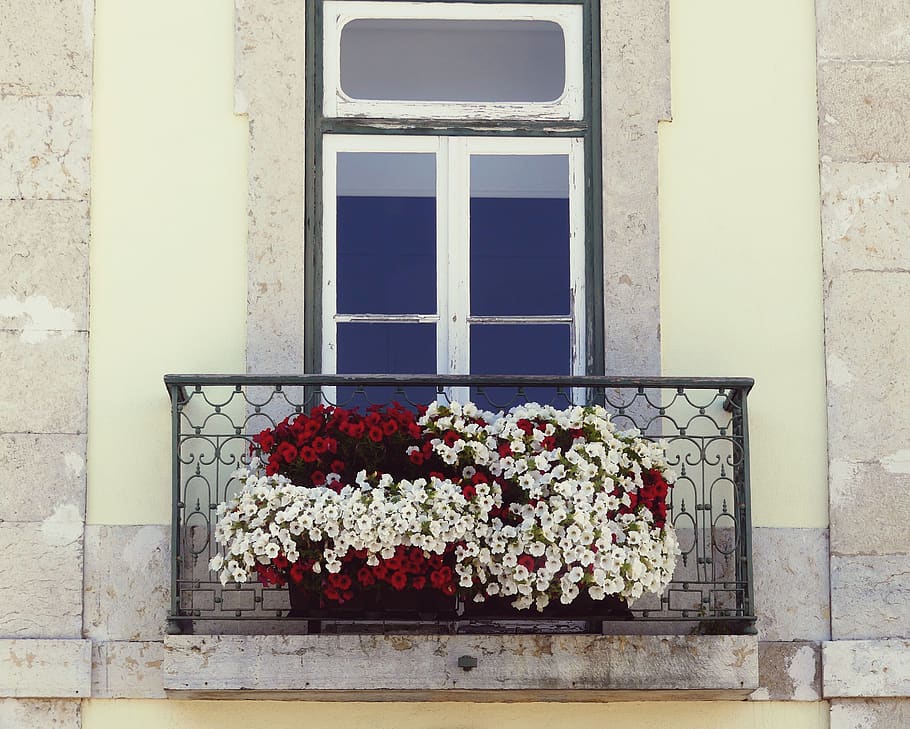 window, balcony, house, facade, architecture, building, portugal HD wallpaper