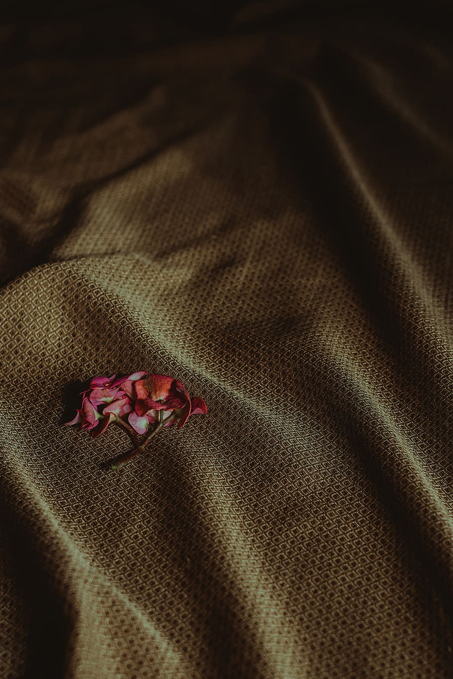 Brown Textile, art, cloth, color, dark, fabric, fashion, flowers HD wallpaper