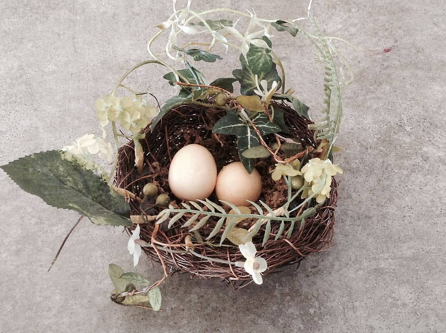 nest, egg, animal nest, food, no people, nature, fragility HD wallpaper