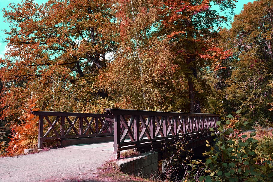 bridge, park, trees, landscape, nature, scenic, autumn, fall foliage HD wallpaper
