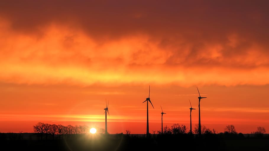 Electric Wind Mills during Sunset, backlit, dawn, dusk, electricity HD wallpaper