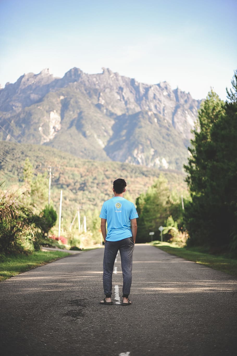 Man Standing on Road, daylight, environment, grass, landscape HD wallpaper