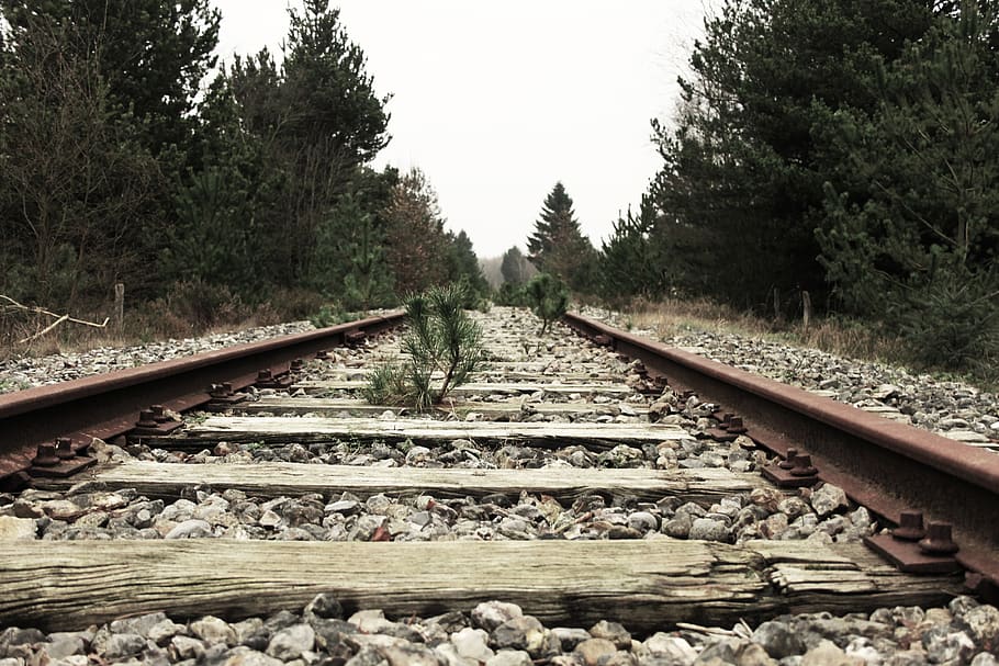 railway, forest, bush, iron, rust, wood, rail transportation HD wallpaper