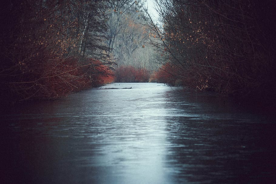 river, ice, channel, tile, frozen, frost, winter, evening, scenery HD wallpaper