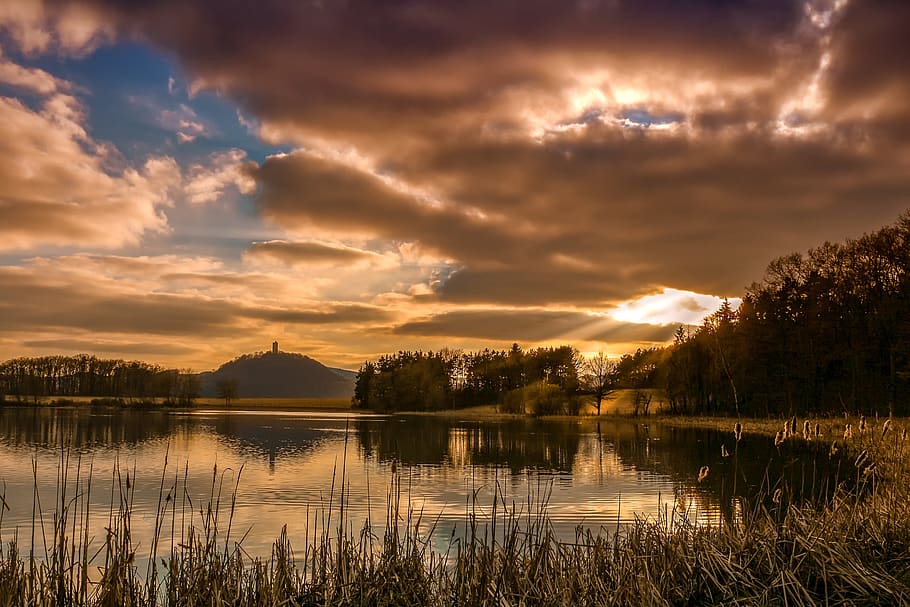 nature, landscape, lake, clouds, dramatic, winter, trees, reed HD wallpaper