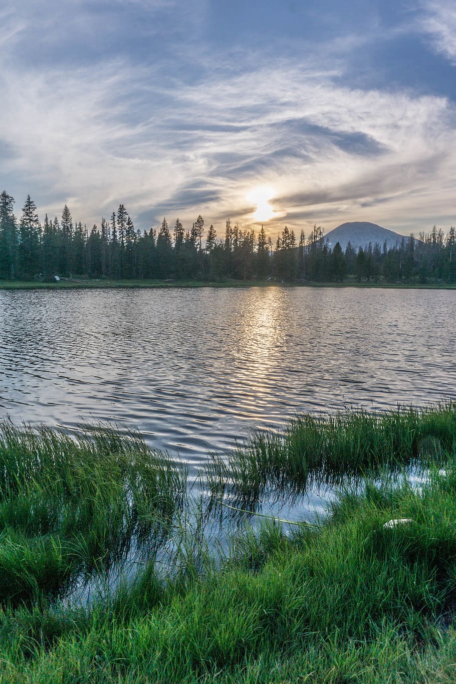 forest, lake, sunset, treess, pines, mountains, dusk, fishing HD wallpaper