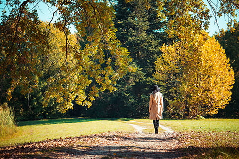 Woman Walking in a Park in Autumn, alone, coat, fall, fashion HD wallpaper