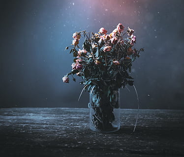 dead flowers, vase, valentine, romance, aged, bouquet, decoration HD wallpaper
