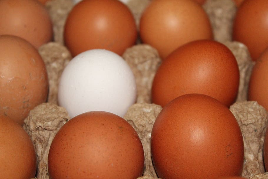 eggs, chicken, food, nutrition, easter, there are, spring, white HD wallpaper
