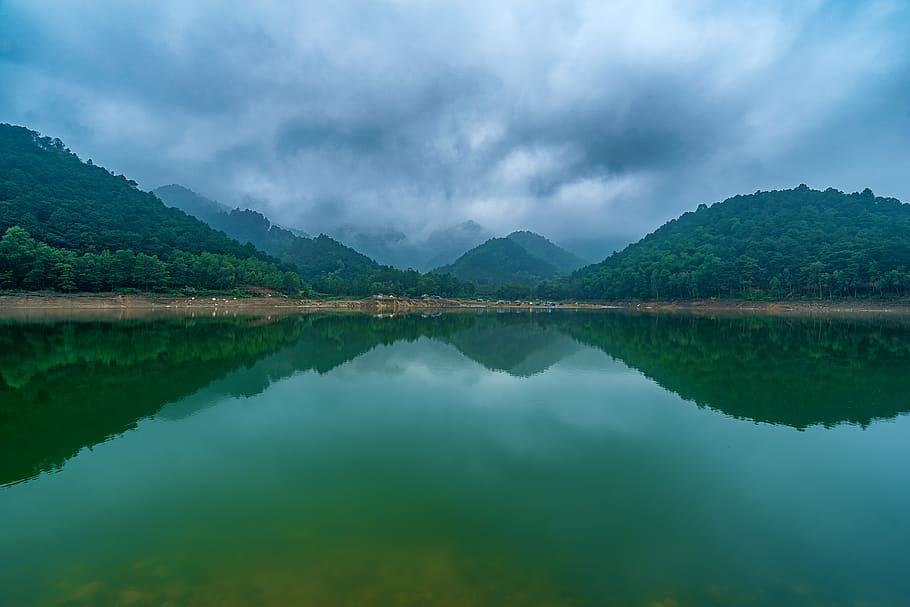 tree, cloud, forest, reflection, mountain, lake, scenics - nature HD wallpaper