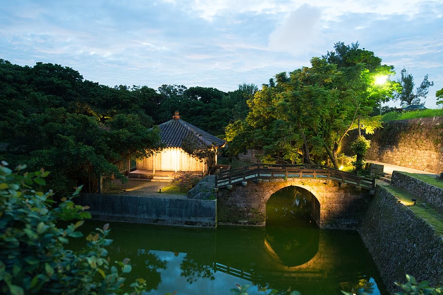 japan, okinawa prefecture, asia, bridge, trees, light, architecture