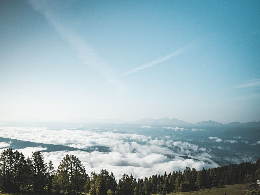 Photography of Green Forest, austria, blue sky, clouds, conifer HD wallpaper