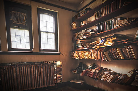 assorted books on rack near glass window, furniture, room, indoors HD wallpaper