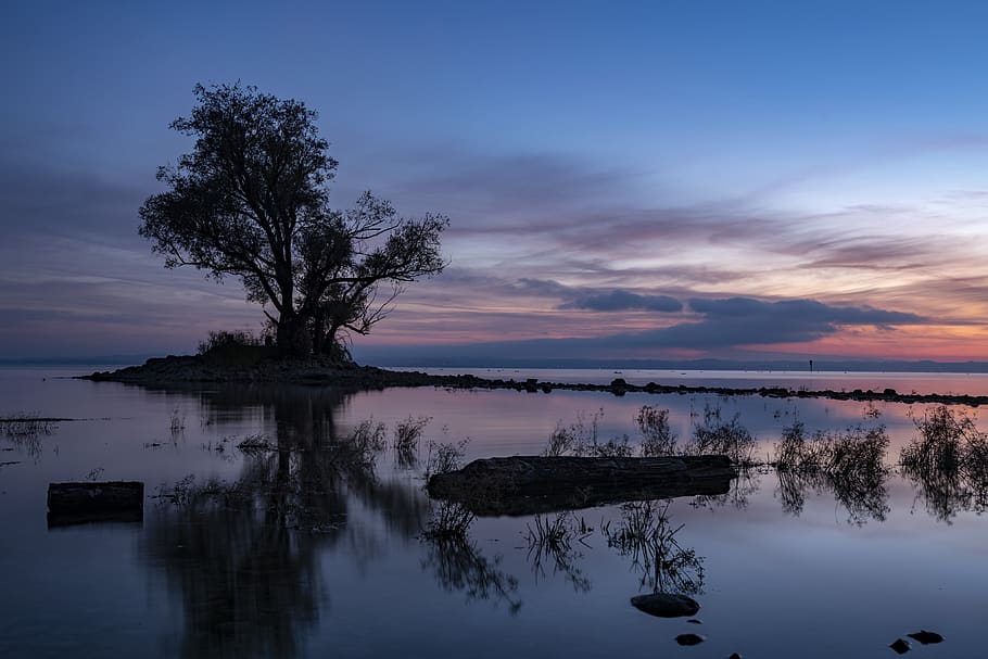 hard, lake, tree, sunrise, sunset, shadow, sky, landscape, water HD wallpaper