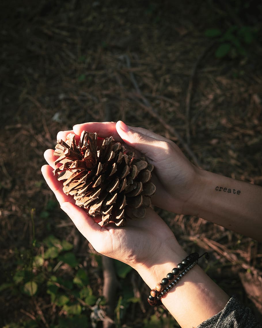 Person Holding Conifer Cone, beads, bracelet, daylight, hands HD wallpaper