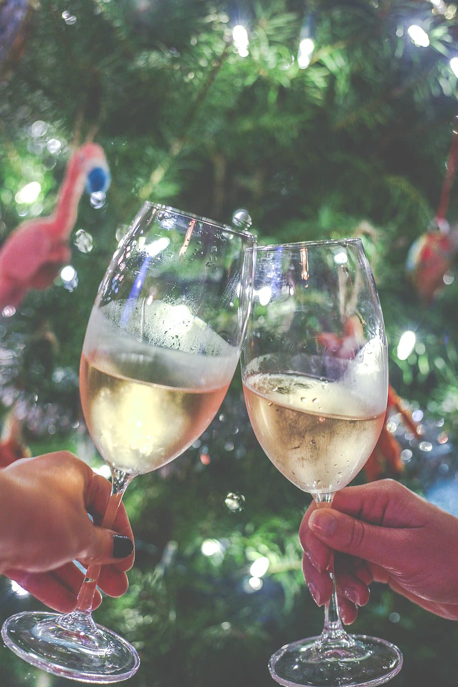 festive, celebration, happy, drinking, holiday, christmas tree HD wallpaper