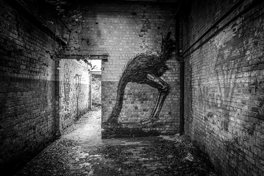 lost, fuji, urbex, tags, graffiti, animal, architecture, building HD wallpaper