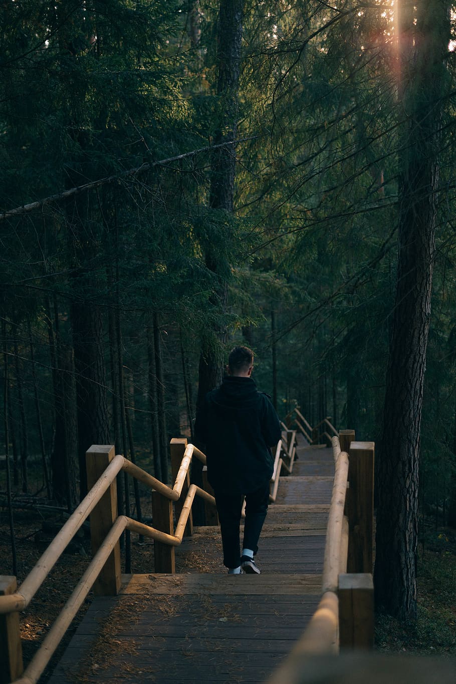 man walking near trees, human, person, people, chair, furniture HD wallpaper