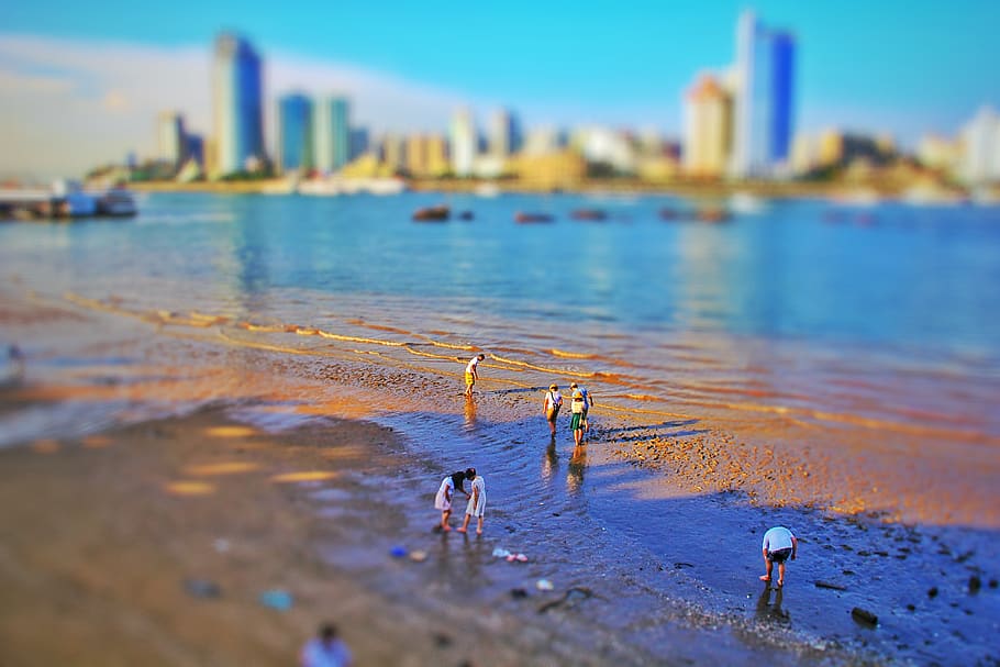 beach, micro landscape, water, city, architecture, built structure HD wallpaper