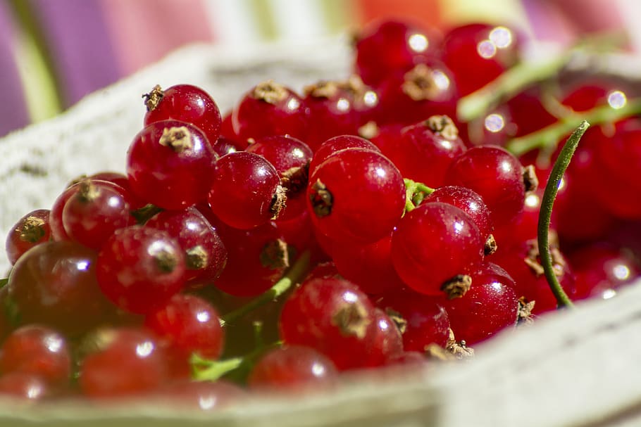 currant, berry, currants, berries, fruit, red, healthy, fruits HD wallpaper