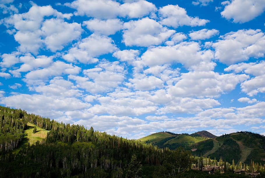 clouds, hills, landscape, mountains, pine, scenics - nature HD wallpaper