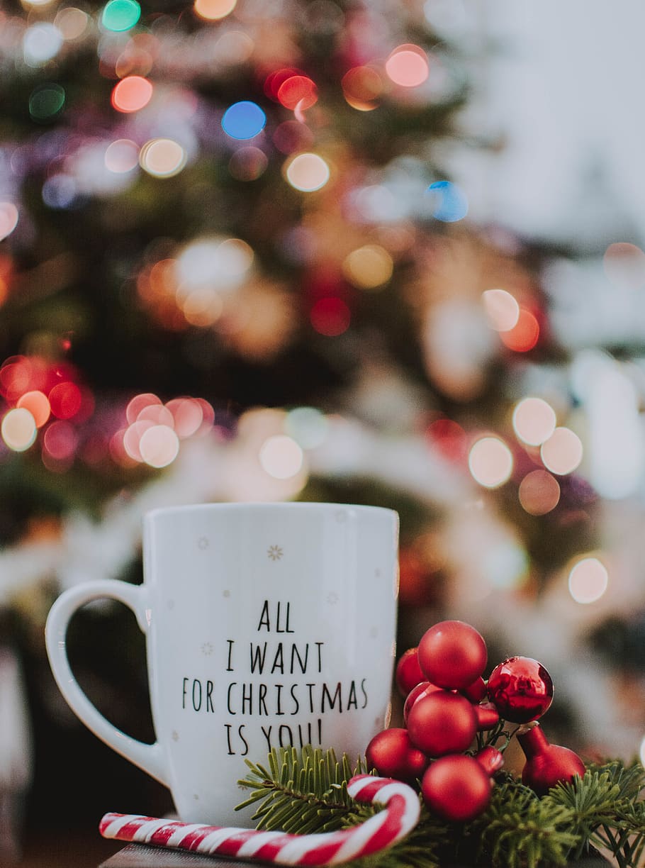 Selective Focus Photography of Ceramic Mug Near Candy Cane, advent HD wallpaper