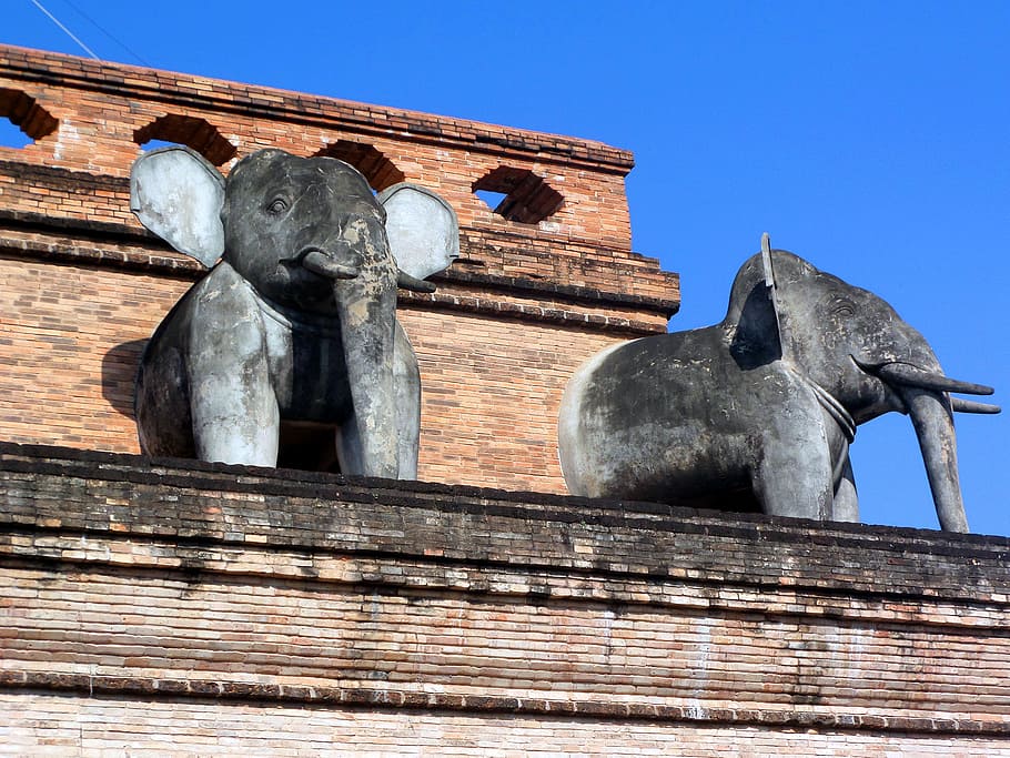 Sacred Buddhist elephant sculptures at Chedi Luang Buddhist temple in Chiang Mai, Thailand, HD wallpaper