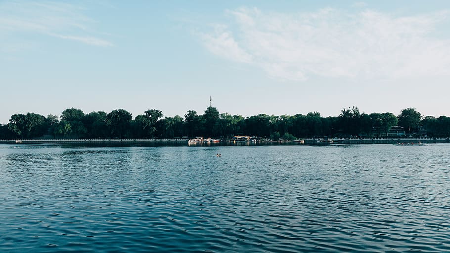 water, sky, waterfront, tree, plant, lake, scenics - nature HD wallpaper