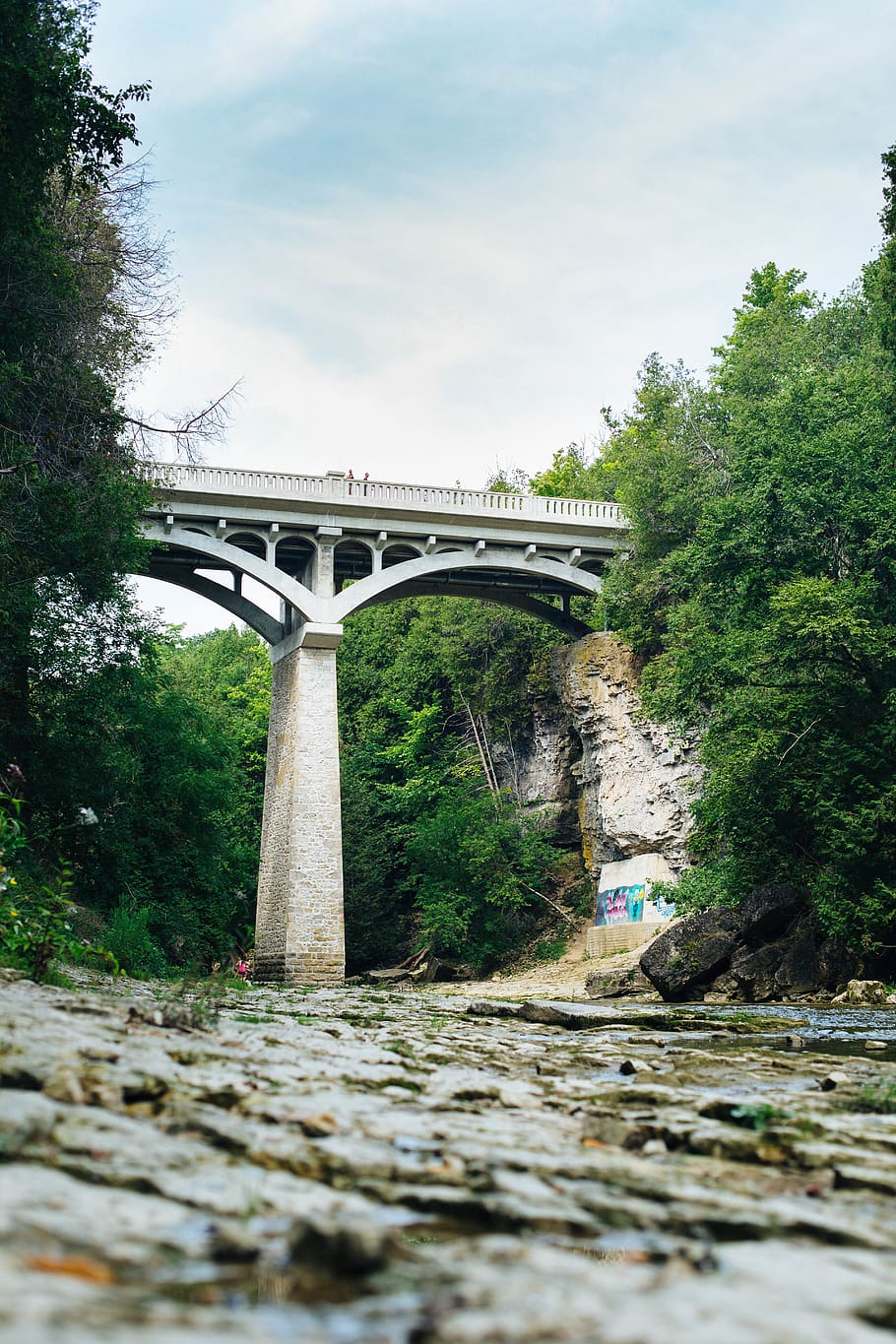 canada, elora, elora gorge conservation area, forest, high HD wallpaper