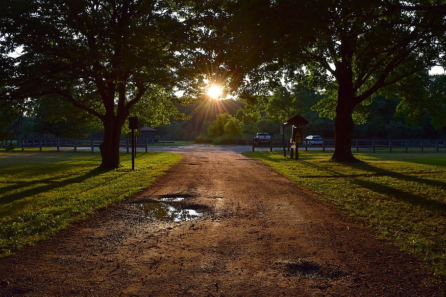 trees, path, sunset, forest, nature, park, light, sunlight HD wallpaper