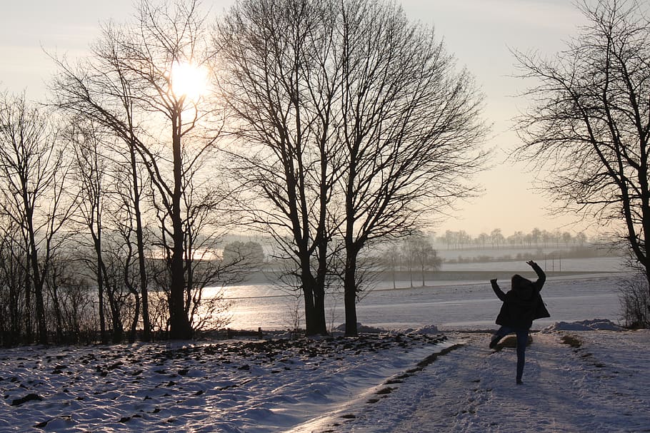nature, winter, tree, landscape, wintry, idyllic, cheers, joy HD wallpaper
