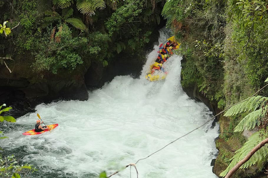 nature, jungle, wild, flow, river, waterfall, sport, thrill HD wallpaper