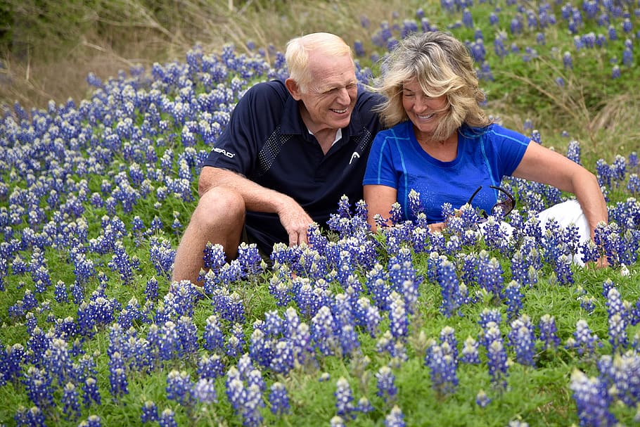 united states, austin, older couple, blue bonnets, laughing, HD wallpaper