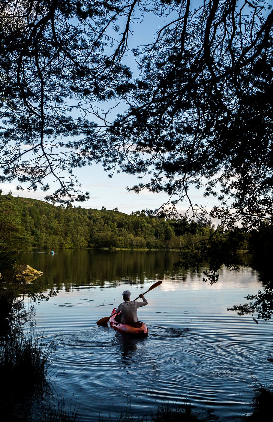 lake, kayaking, forest, tree, water, plant, nautical vessel HD wallpaper