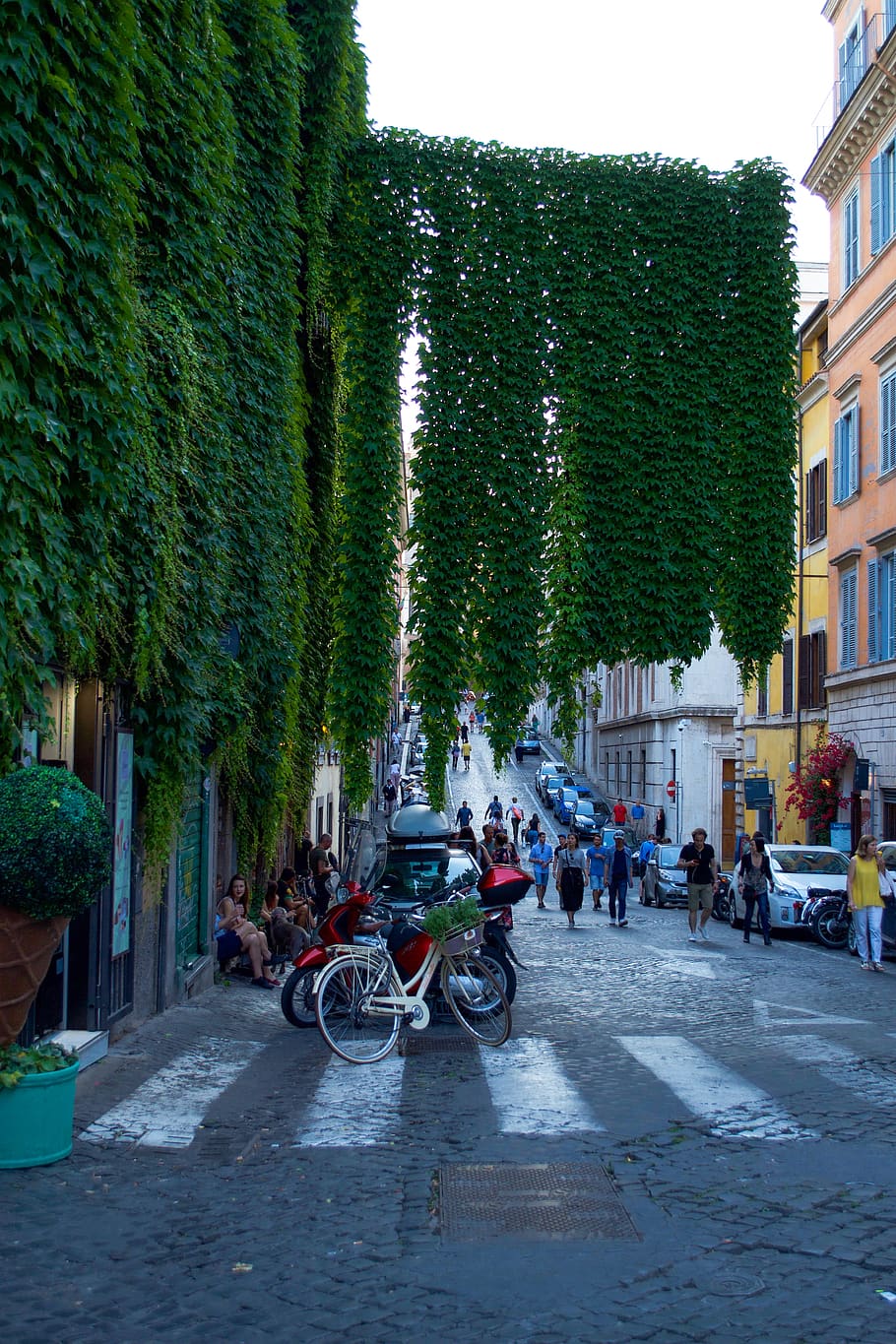 italy, rome, transportation, mode of transportation, city, architecture HD wallpaper