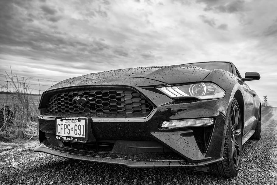 HD wallpaper: grayscale photo of Ford Mustang, car, vehicle, automobile,  transportation | Wallpaper Flare