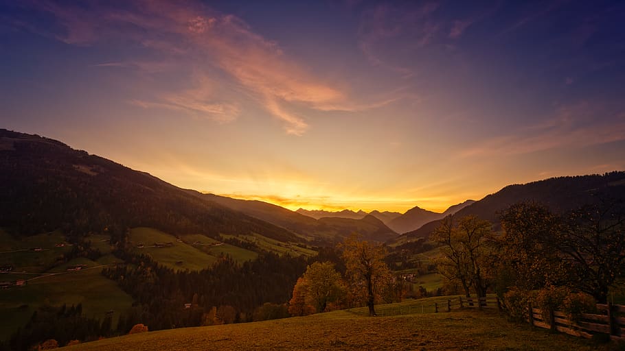 Landscape Photo of Trees during Golden Hour, beautiful, clouds HD wallpaper