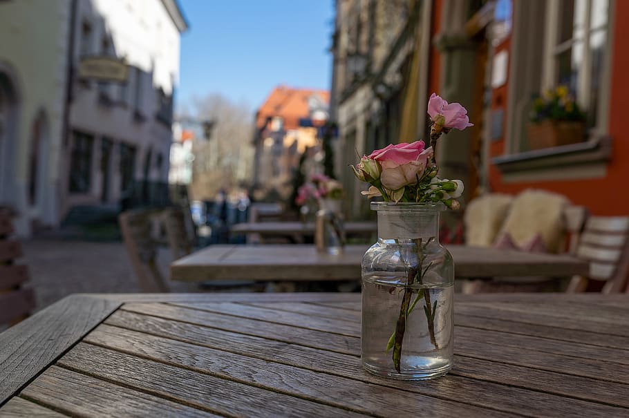 city, flower, rose, table, lindau, alone, downtown, cafe, spring HD wallpaper