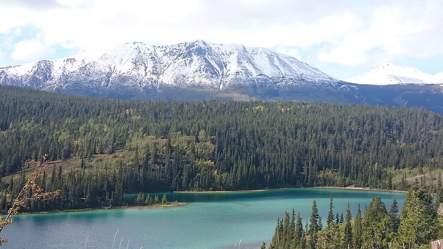 lake, water, forest, trees, green, plants, mountain, valley HD wallpaper