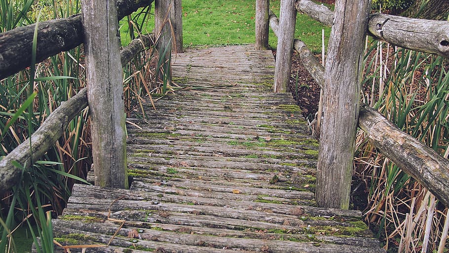 wood, bridge, park, plant, tree, wood - material, forest, land HD wallpaper