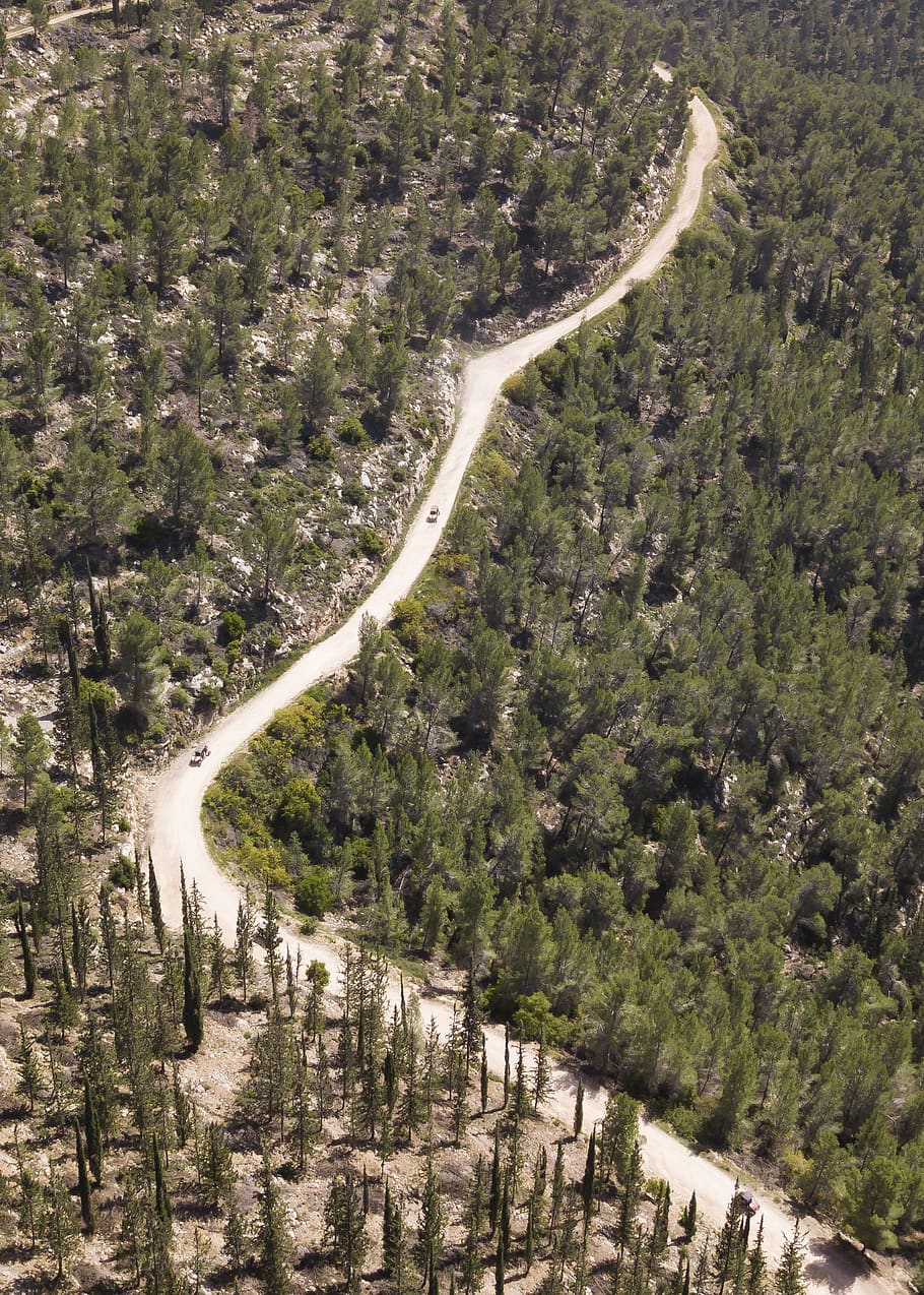 jerusalem hills, nature, dron, forest, jerusalem trail, plant HD wallpaper