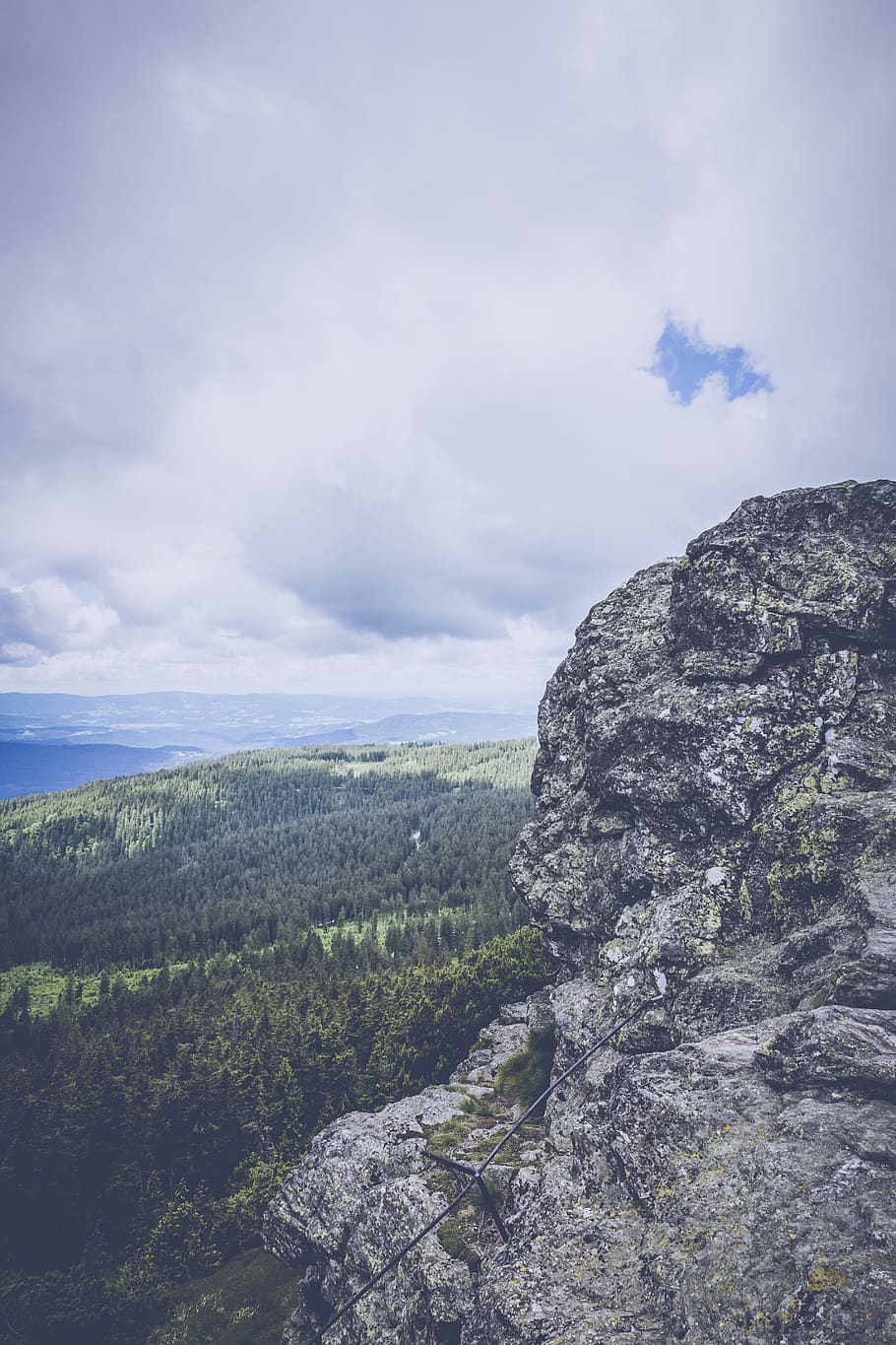 Gray Rock Mountain Hill With Aerial View of Pine Tree Field, biotope HD wallpaper