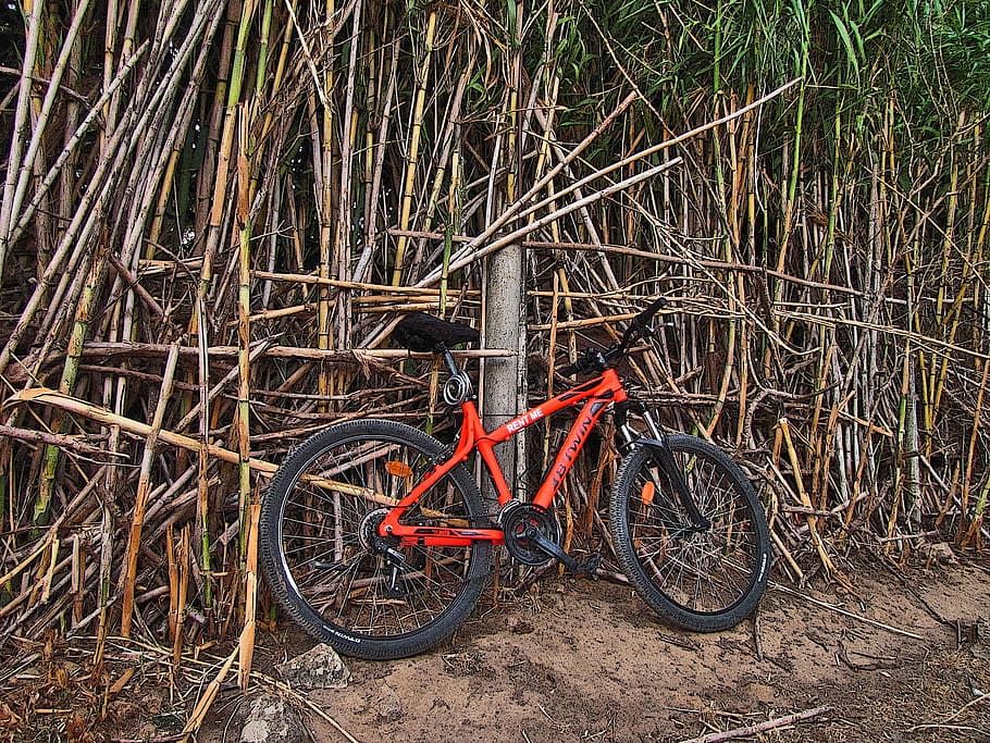 bike, cycle, bicycle, mountain, transport, transportation, mode of transportation HD wallpaper