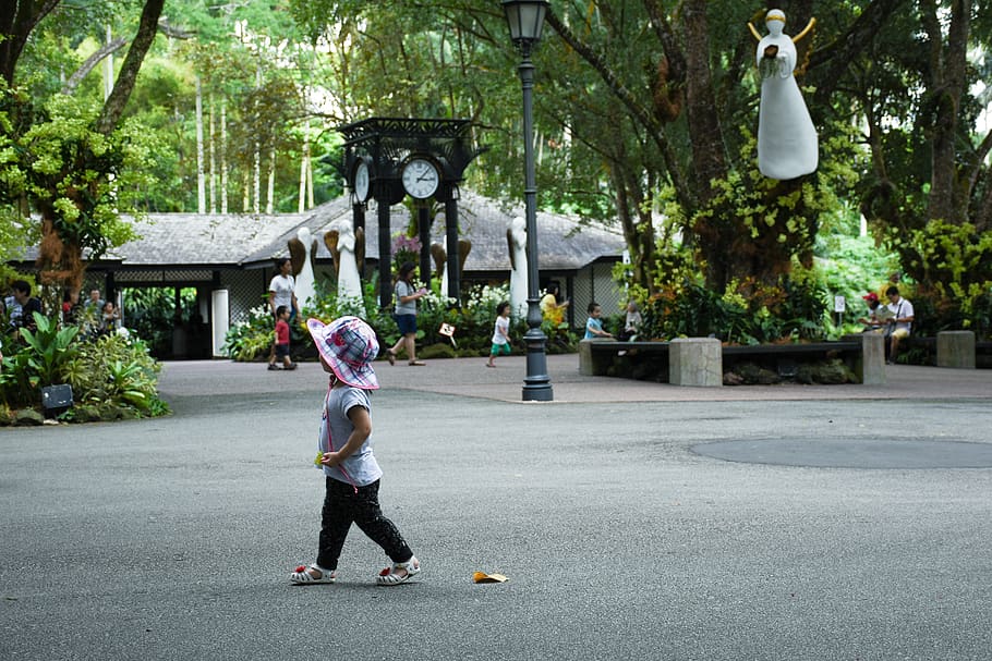 singapore, kid, children, candid, garden, trees, nature, morning
