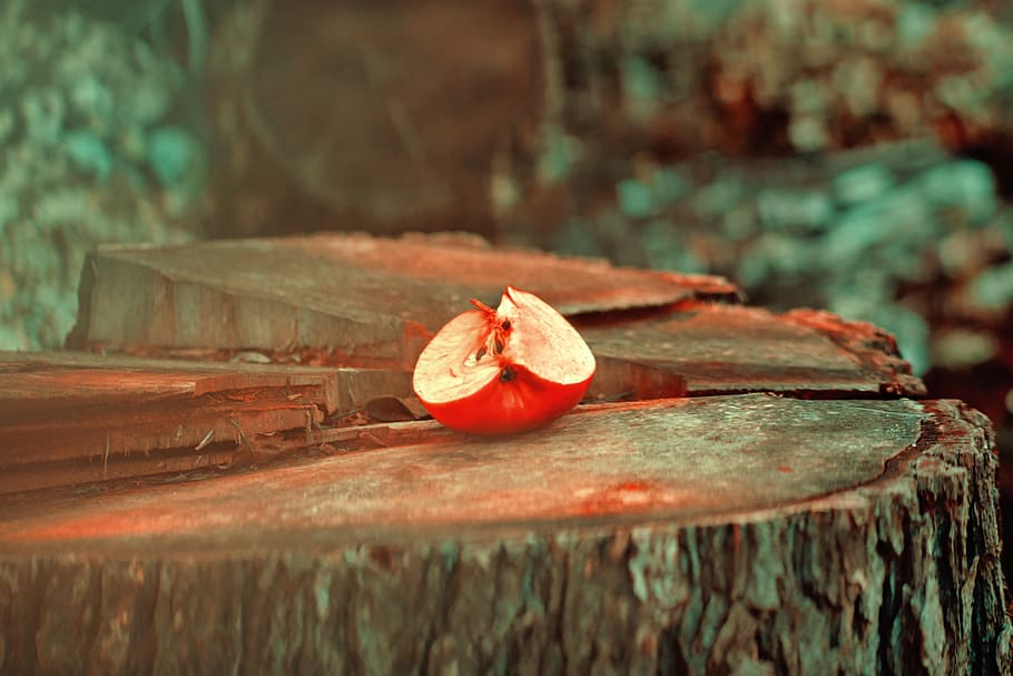fruit, forest, cut, fruits, still life, old, leaves, season HD wallpaper