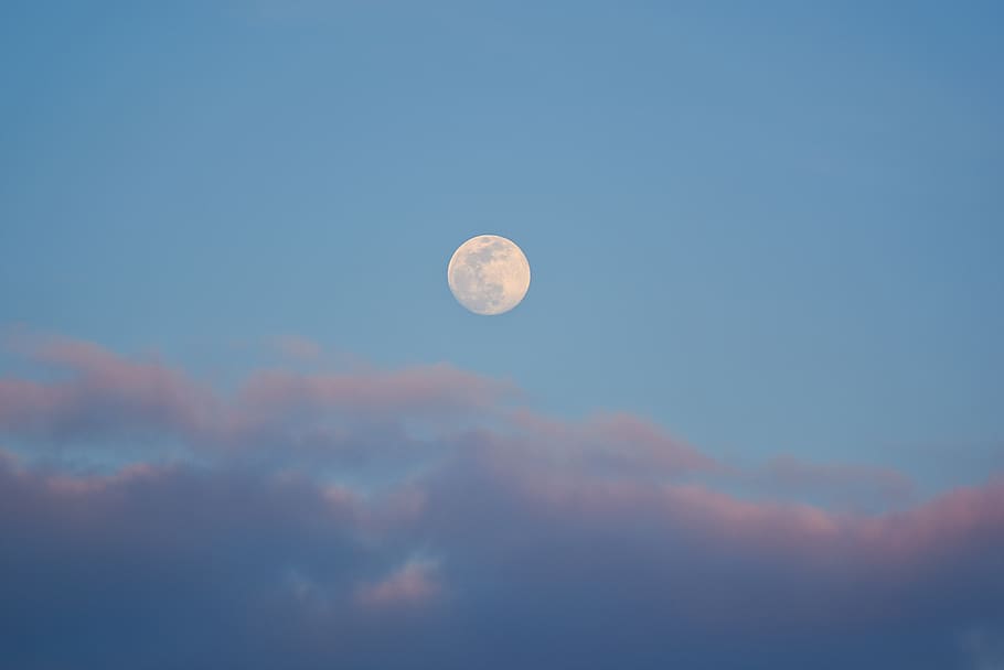 white moon, nature, outdoors, space, universe, night, astronomy HD wallpaper