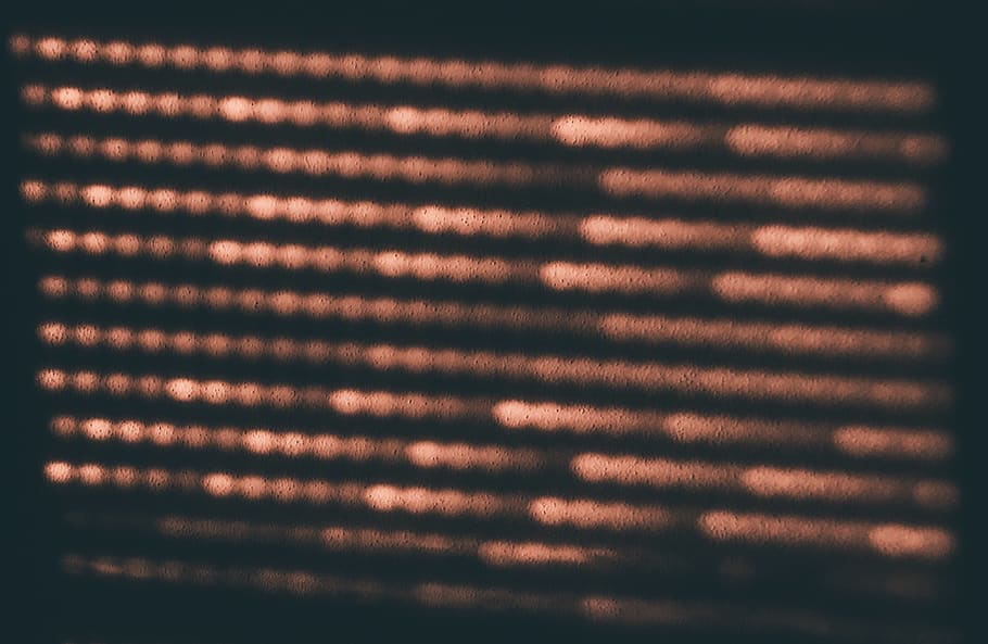 rug, home decor, text, texture, plant, finch, animal, bird HD wallpaper