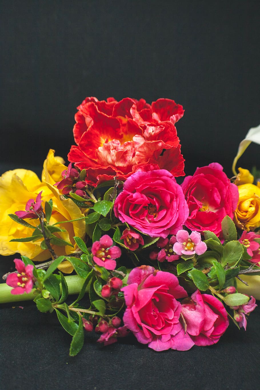 Photo of Assorted Flowers on Black Surface, beautiful, black background HD wallpaper