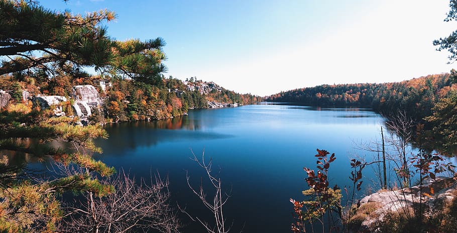 lake, fall, water, tree, plant, scenics - nature, beauty in nature HD wallpaper
