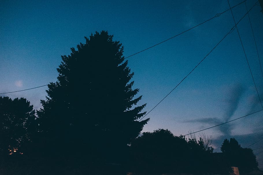 sunset, dusk, sky, night, evening, dark, trees, silhouette HD wallpaper